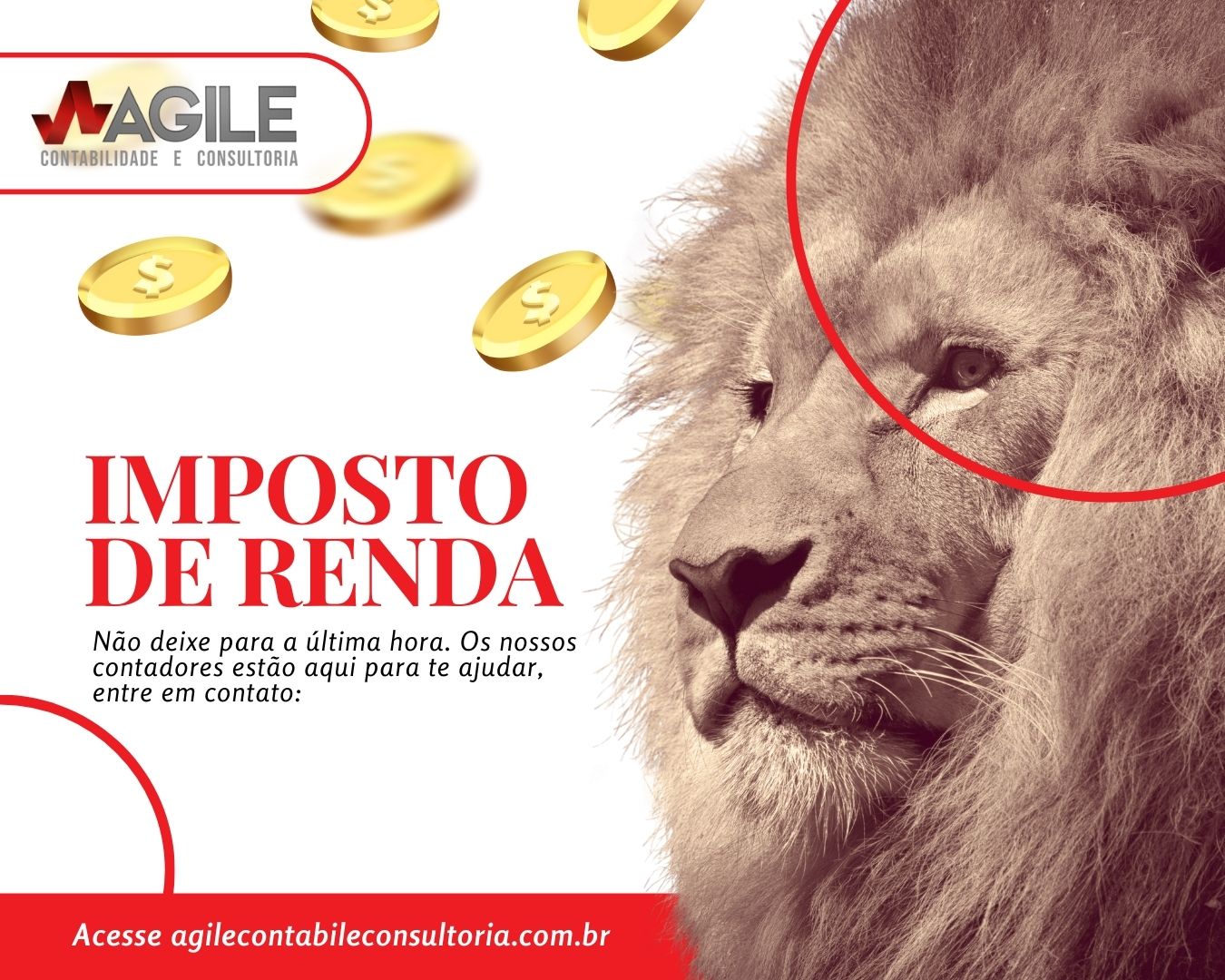 Imposto de Renda Como Declarar Sem Erros